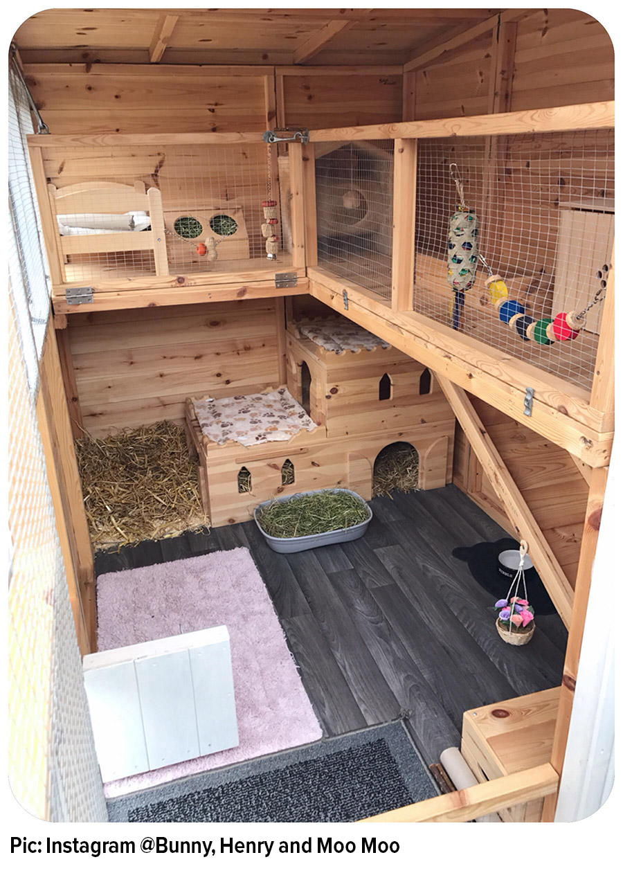 The Rabbit home that has the WOW factor! - Best 4 Bunny